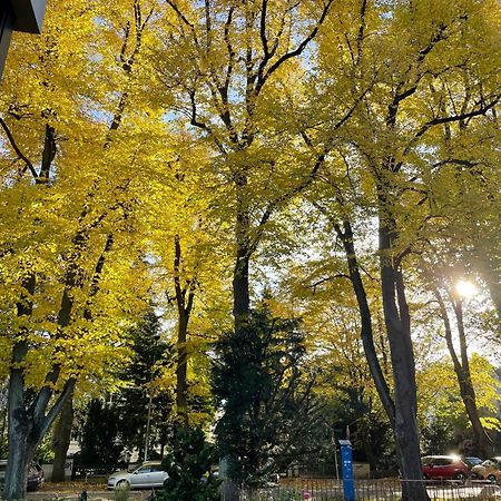 Aparthotel Stadtpark Lubeka Zewnętrze zdjęcie
